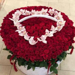 301 роза с орхидеями, букет цветов в корзине R923